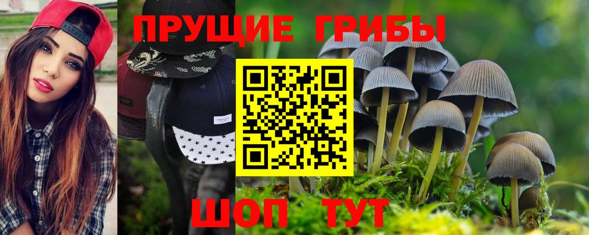Галлюциногенные грибы Psilocybine cubensis  Вход с VPN  Реж 